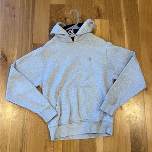 Grey Champion Hoodie